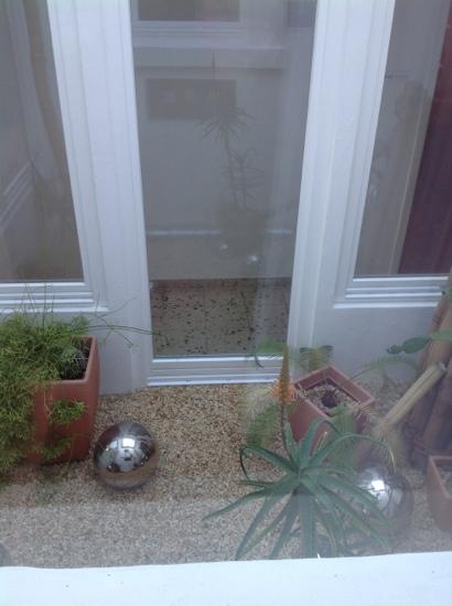 Hotel Sonne - Haus 1-客卧