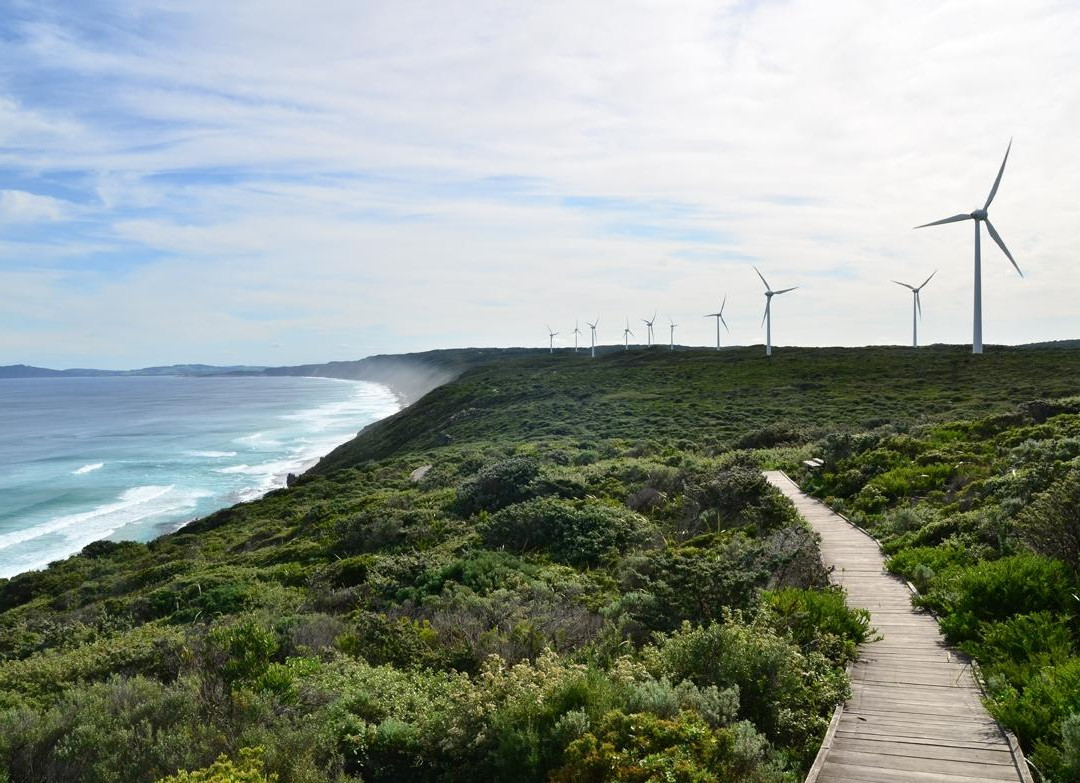 Albany Wind Farm-奥尔巴尼必去景点
