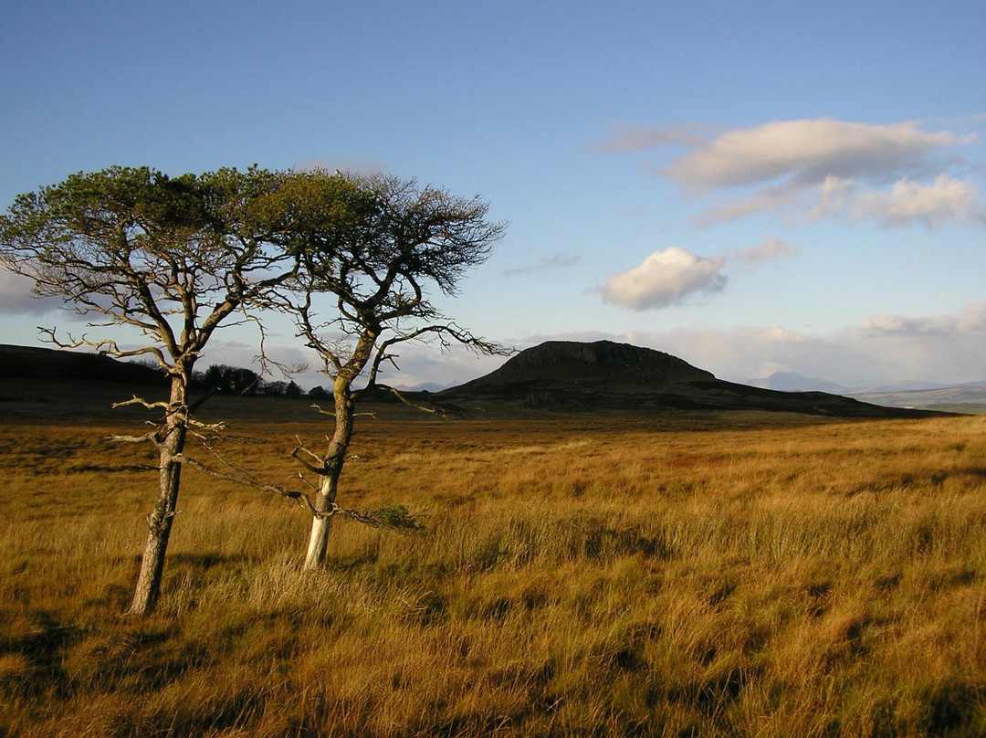Muirshiel Visitor Centre & Country Park景点图片