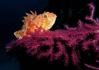 Adventure Spot Dahab-达哈卜必去景点