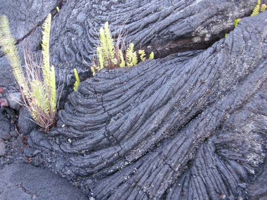 Nui Pohaku Big Island Adventure Tours-夏威夷大岛必去景点