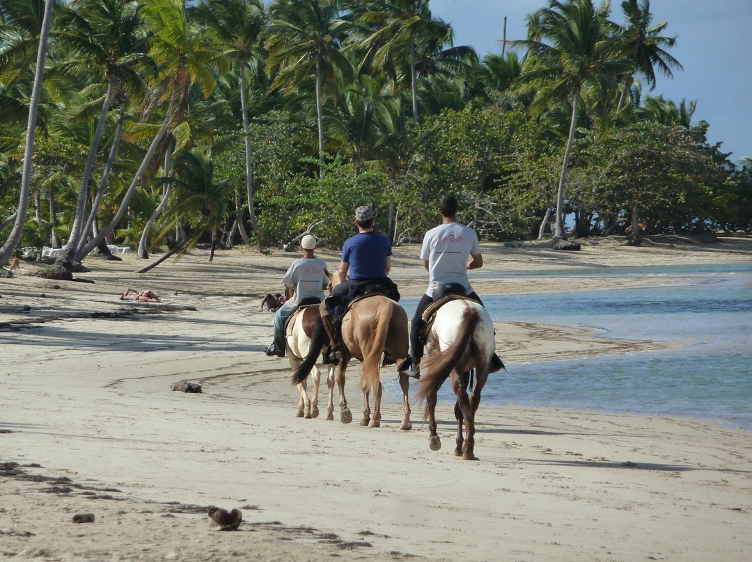 Epona Ranch-拉斯特拉纳斯必去景点
