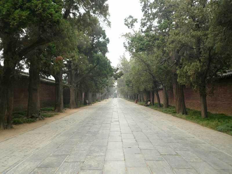 孔林-曲阜市必去景点