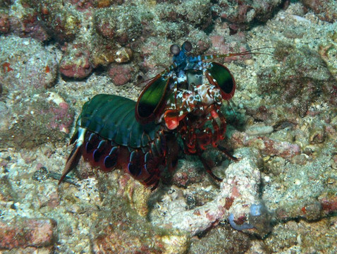 Bali Bubbles Dive Center-甘地达萨必去景点