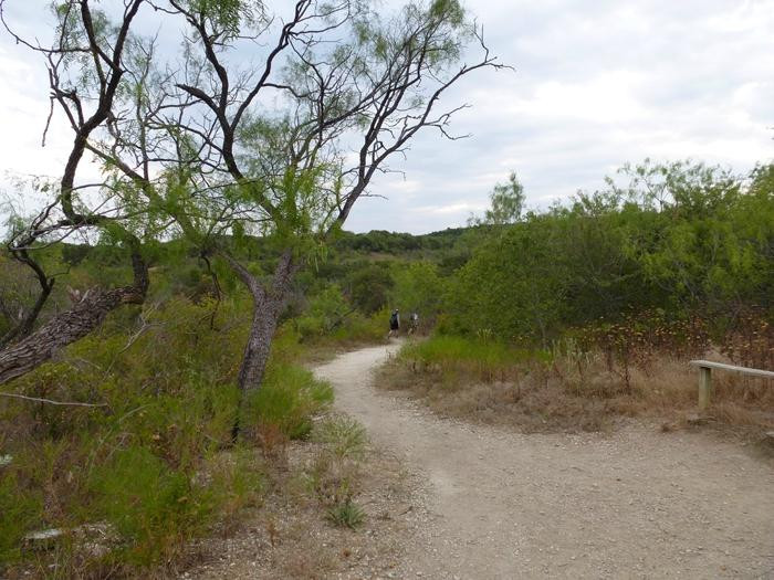 Cedar Ridge Preserve managed by Audubon Dallas.-达拉斯必去景点