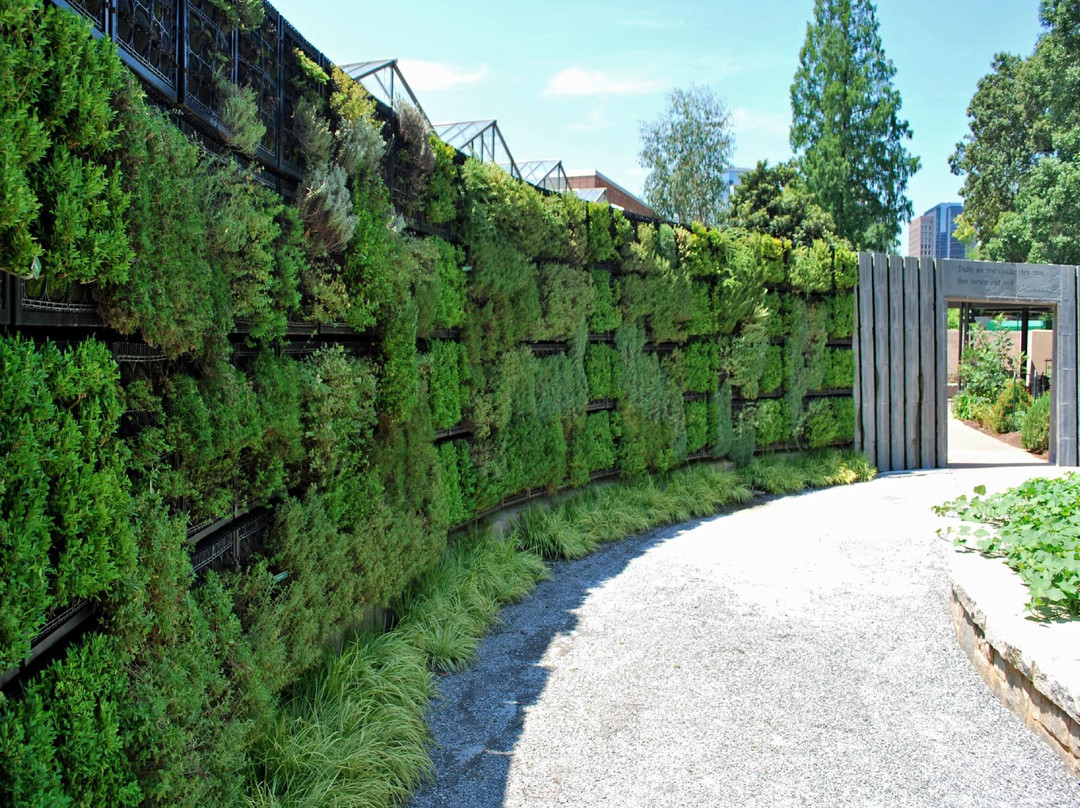 亚特兰大植物园-亚特兰大必去景点