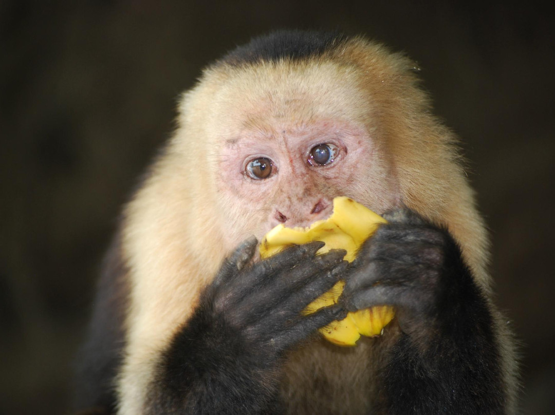 Tours Papagayo JC-Gulf of Papagayo必去景点