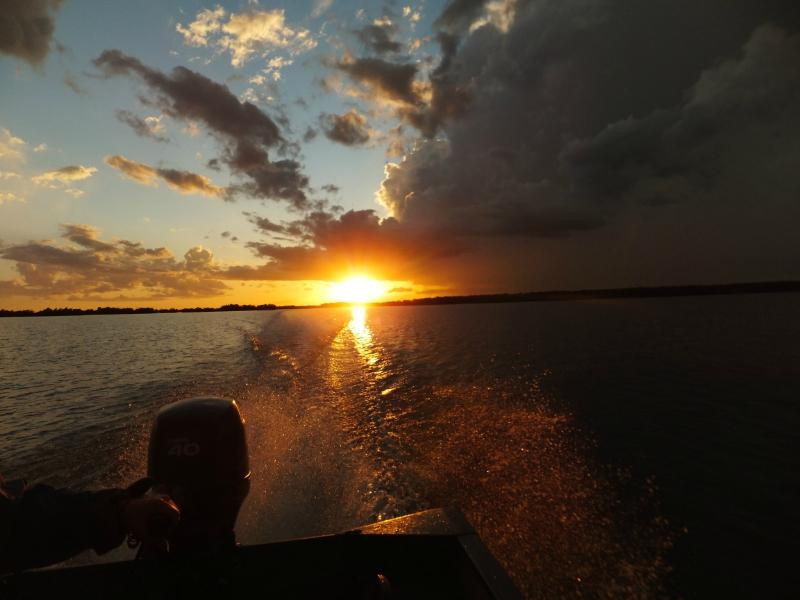 Everglades Backcountry Experience with Capt. Rodney Raffield-大沼泽地必去景点