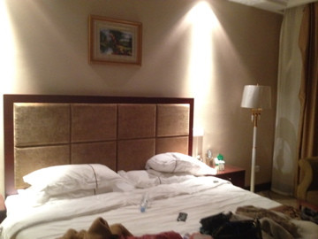 金水鹤国际酒店主图