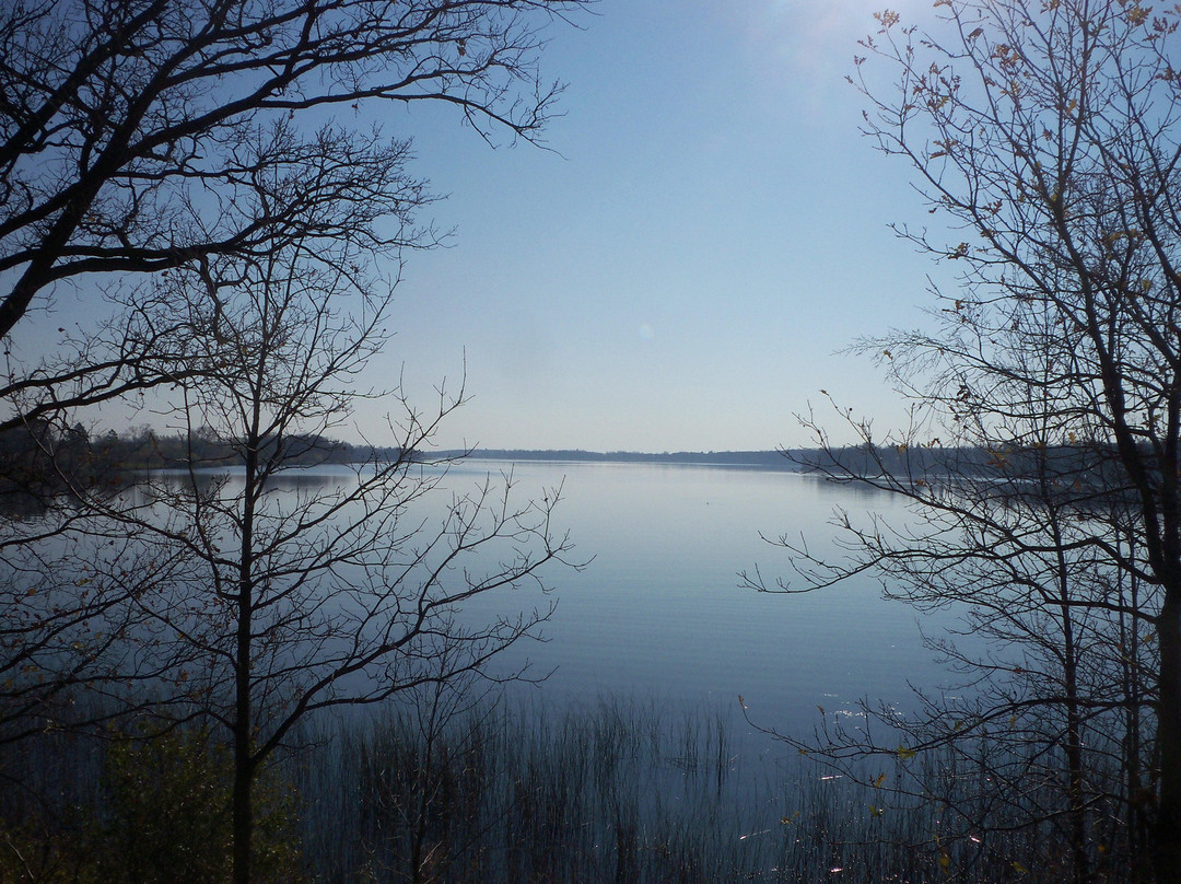 World's Largest Loon-Vergas必去景点