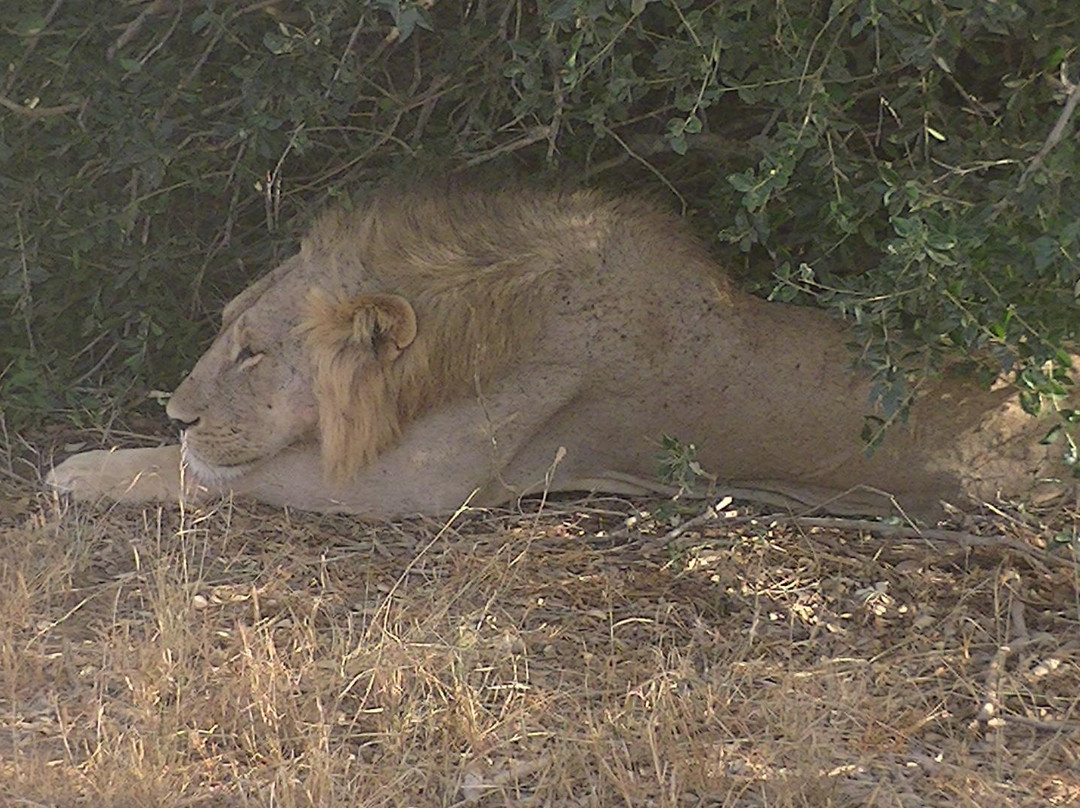 F. King Tours & Safaris-蒙巴萨必去景点