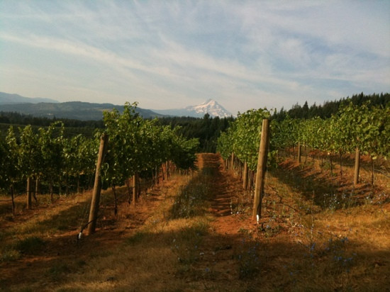 Phelps Creek Vineyards-胡德里弗必去景点