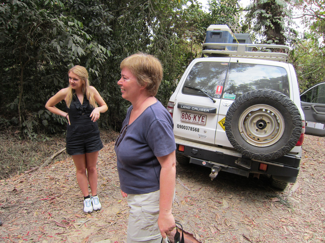 Mason's Tours-Cape Tribulation必去景点