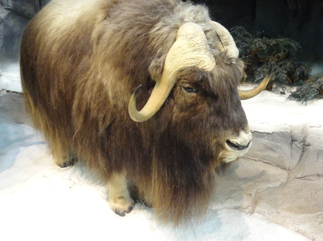 Cabela's-Richfield必去景点