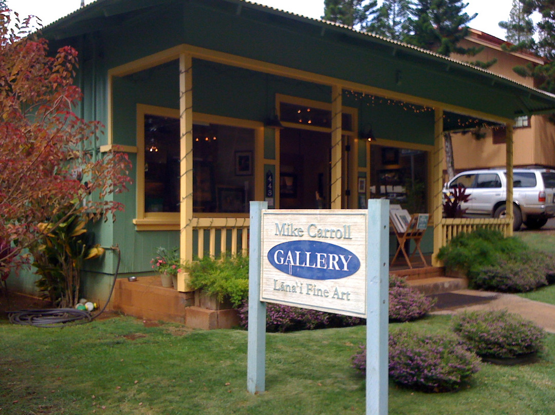 Mike Carroll Gallery-拉奈市必去景点