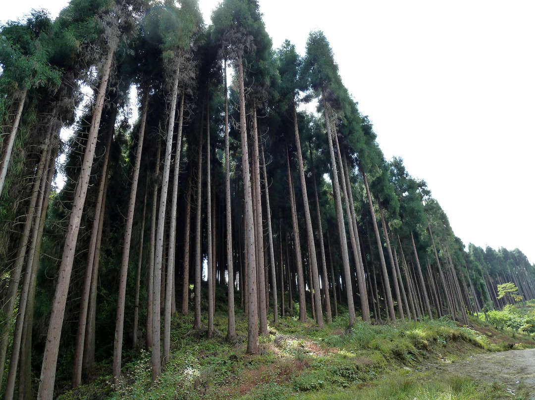 鸡冠山-崇州市必去景点