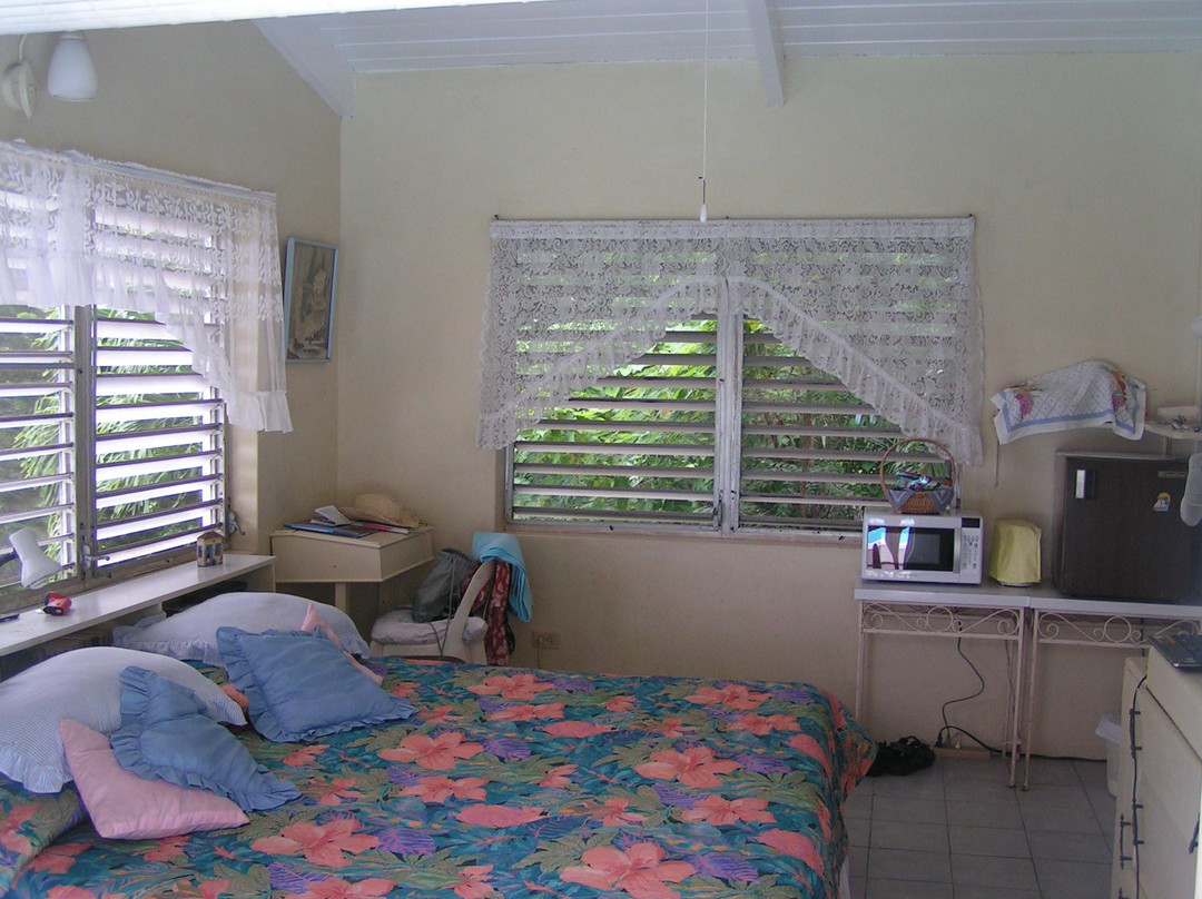 Erindell Villa Guest House主图