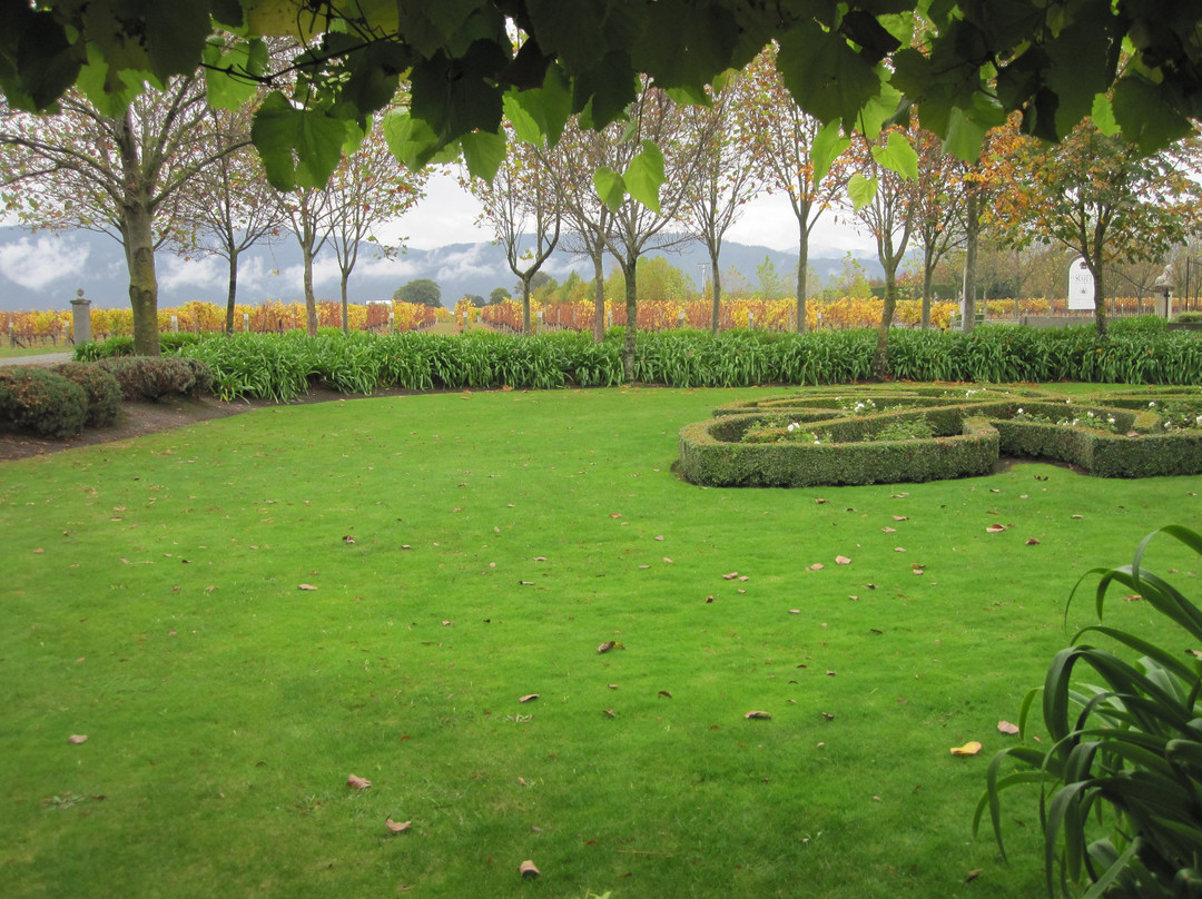 Discovery Wine Tours-布伦海姆必去景点