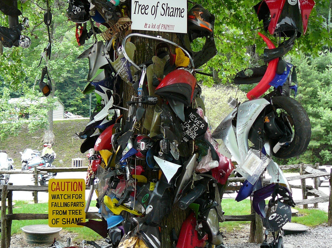 Tail of the Dragon-罗宾斯维尔必去景点