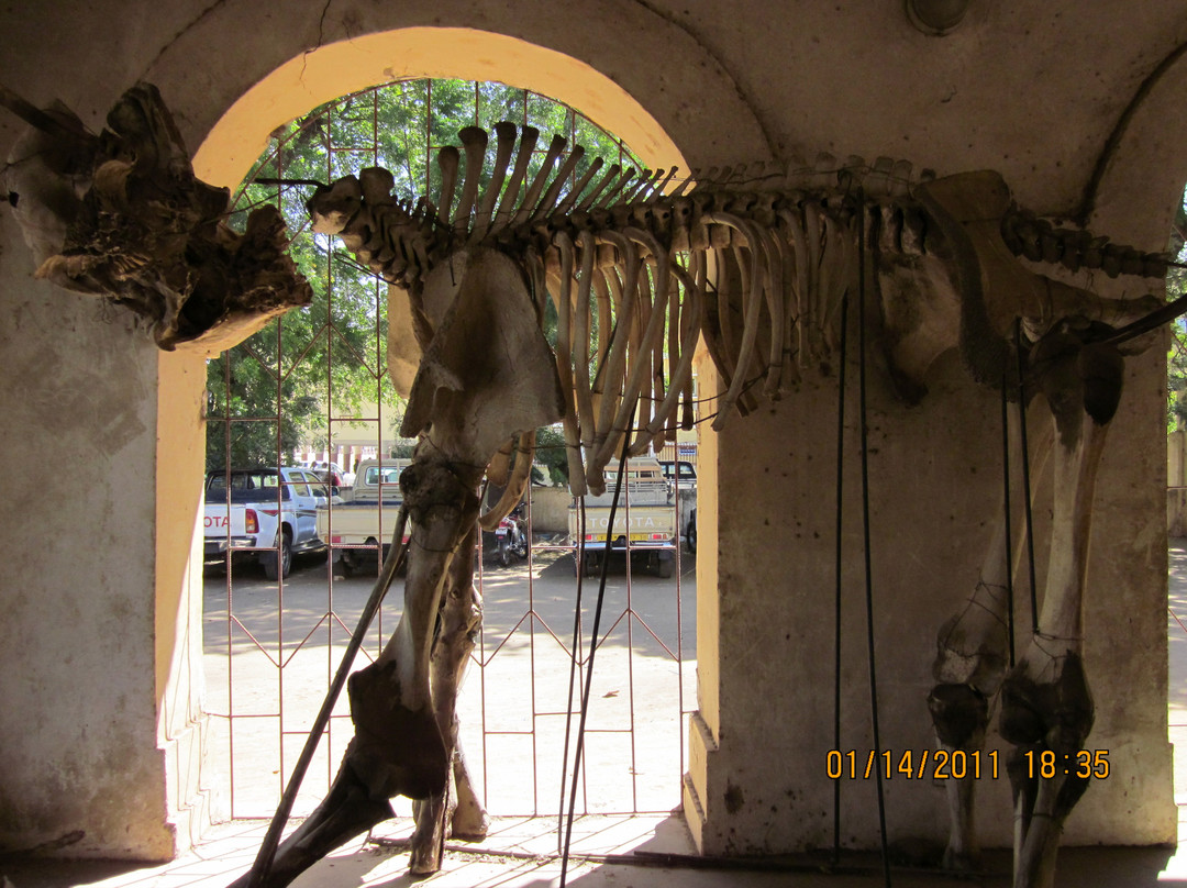 Musée National N'Djamena (National Museum)-恩加美纳必去景点