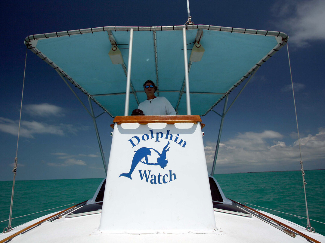 Honest Eco-基韦斯特必去景点