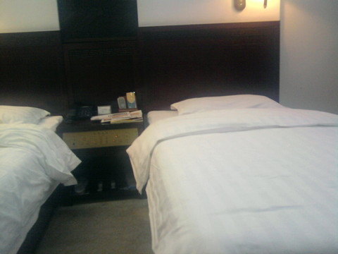 平原桃园宾馆主图