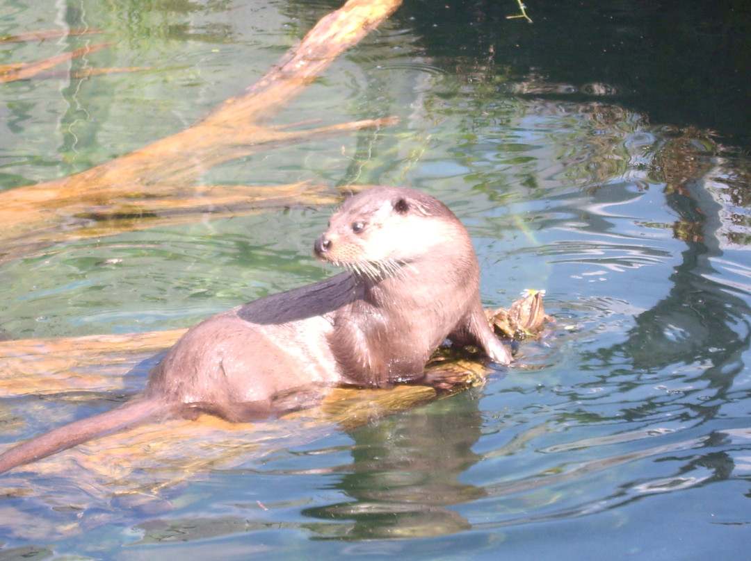 AQUA Aquarium & Wildlife Park-锡尔克堡必去景点