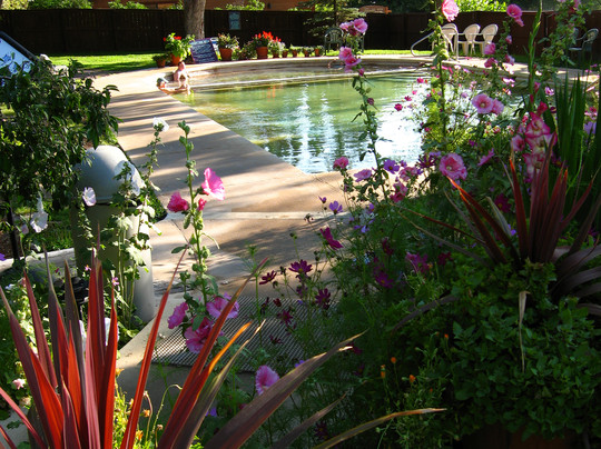 Durango Hot Springs-杜兰戈必去景点