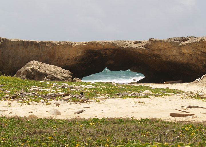 Kini Kini Transfer & Tours-奥腊涅斯塔德必去景点