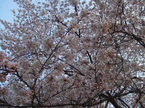 儿童大乐园-首尔必去景点