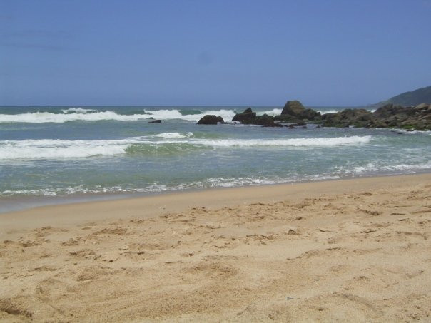 Praia do Campeche-弗洛里亚诺波利斯必去景点