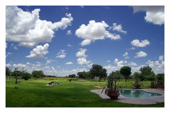 Harnas Wildlife Foundation-Gobabis必去景点