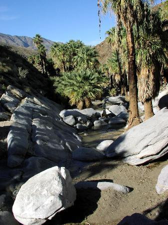 阿瓜卡连特印第安人遗址-棕榈泉市必去景点