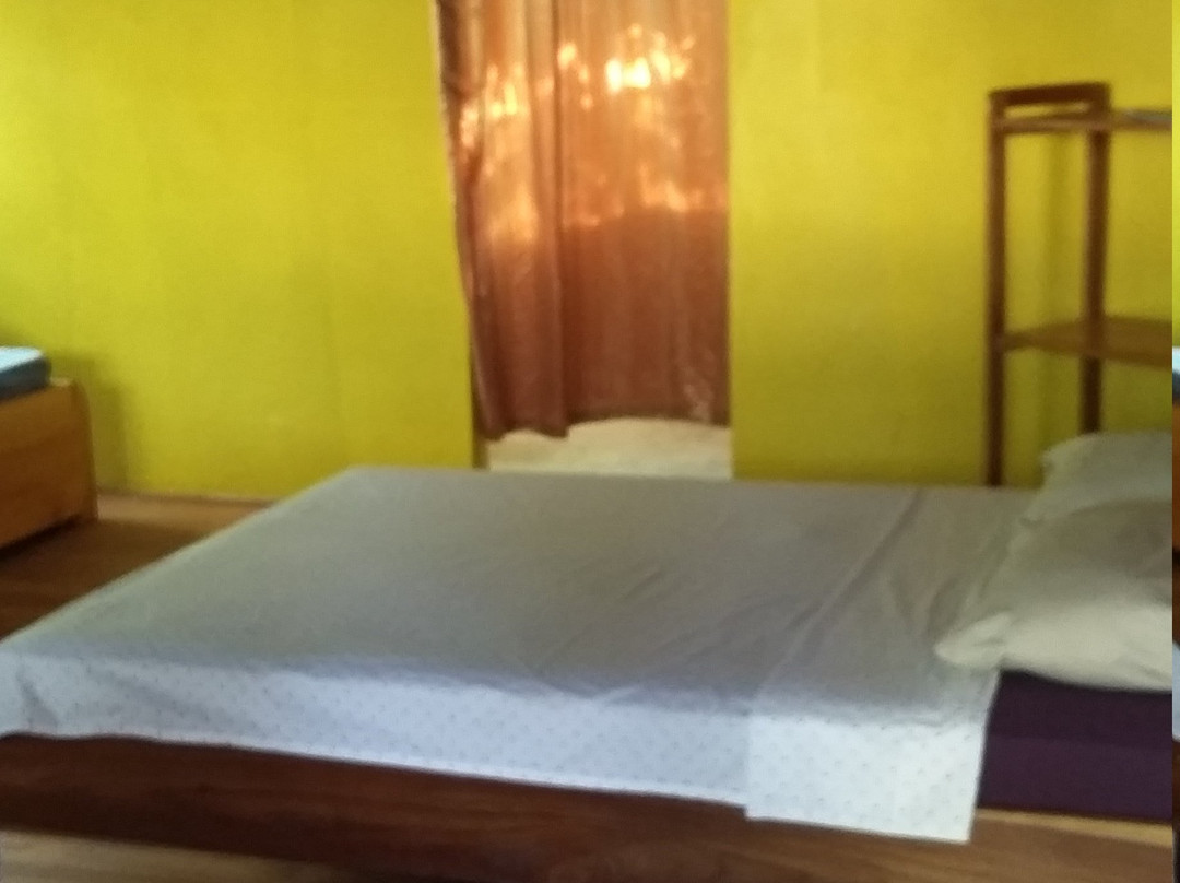 Cabinas Bucus and Tours