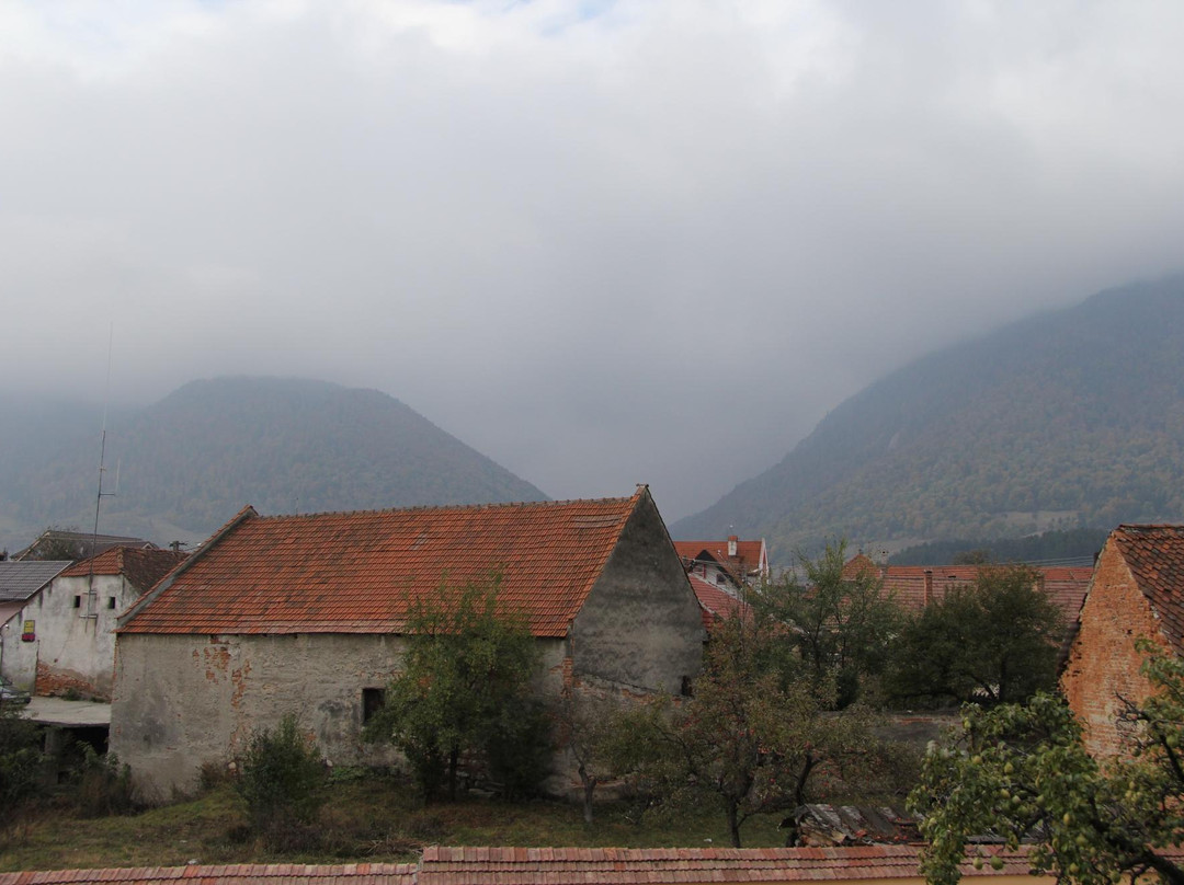 Pension Gradina Ursului