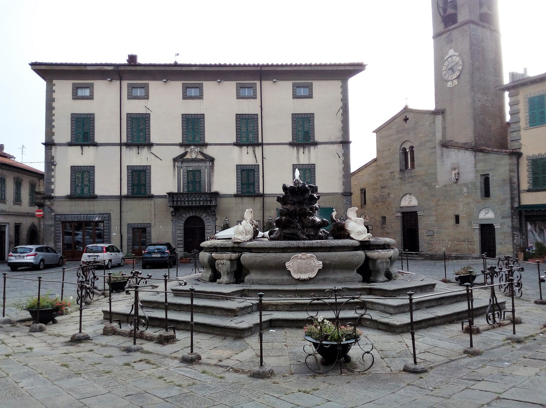 Piazza Medicea景点图片