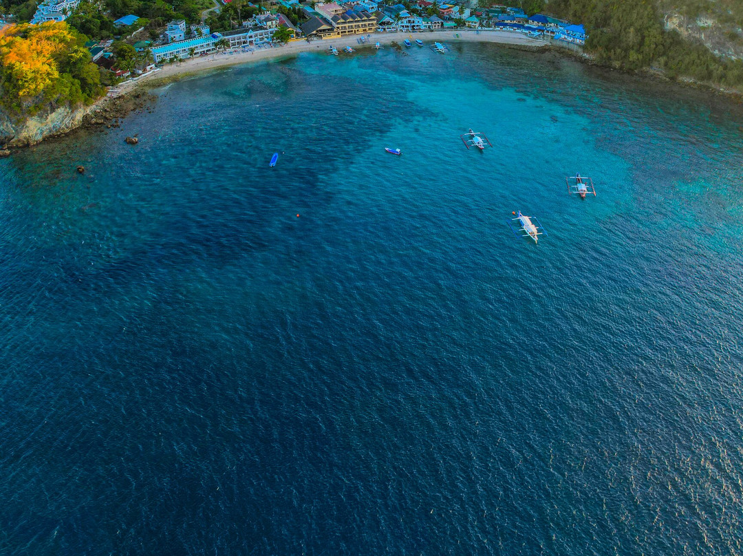 斯堪的潜水员酒店主图