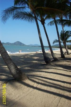 Palm Cove Beach-棕榈湾必去景点