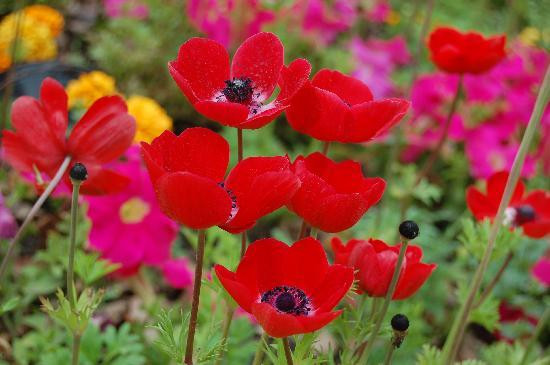 上海植物园-上海市必去景点