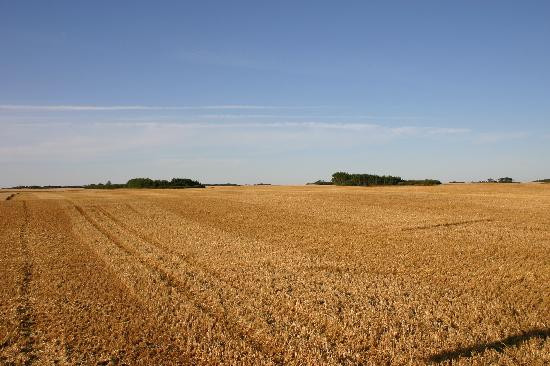 Wascana Centre Park-里贾纳必去景点