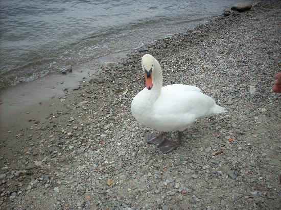 Lago Maggiore-伦巴第必去景点