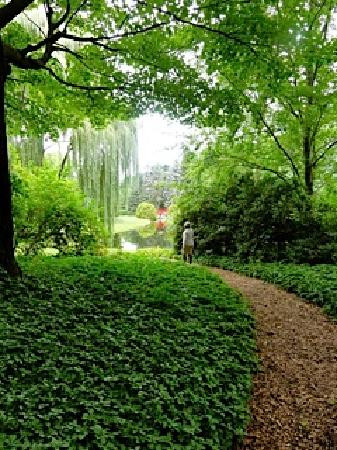 Dow Gardens景点图片