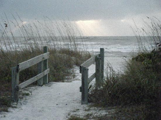 Delnor-Wiggins Pass State Park-那不勒斯必去景点