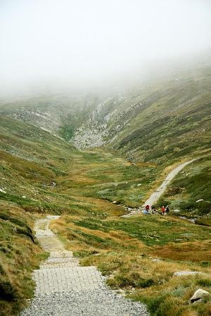 Mount Kosciuszko National Park景点图片