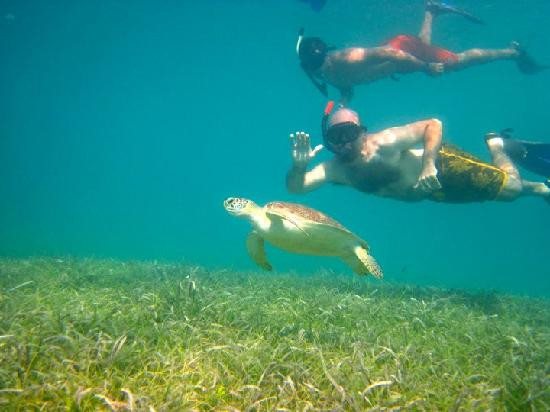 Kayaking Puerto Rico-库莱布拉岛必去景点