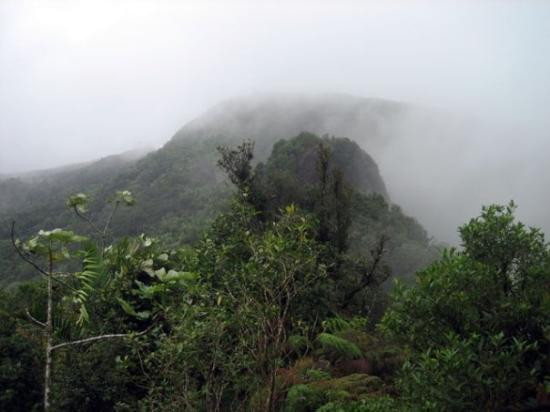 El Toro Peak-云盖国家森林公园必去景点