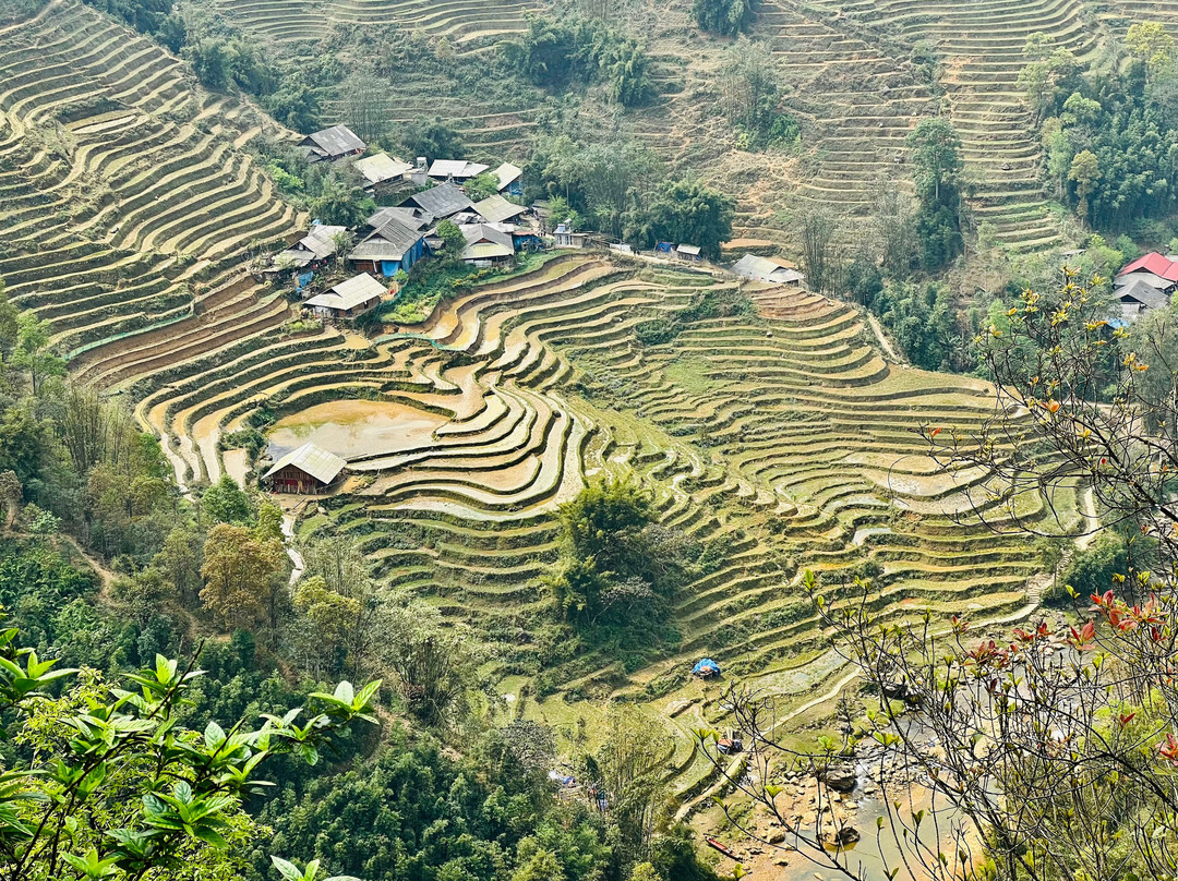 Terraced Rice Fields in Shin Chai Village景点图片