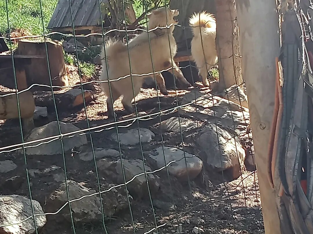 Base Nordique Sherpa