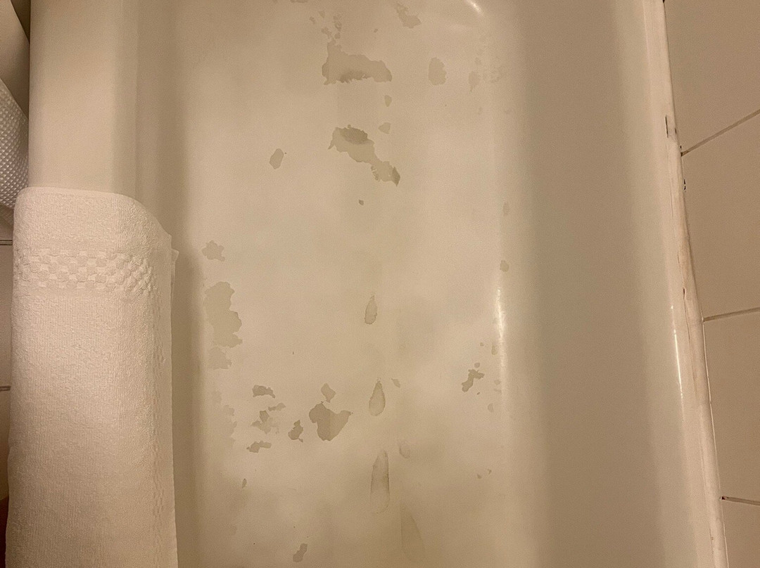 SpringHill Suites Morgantown主图