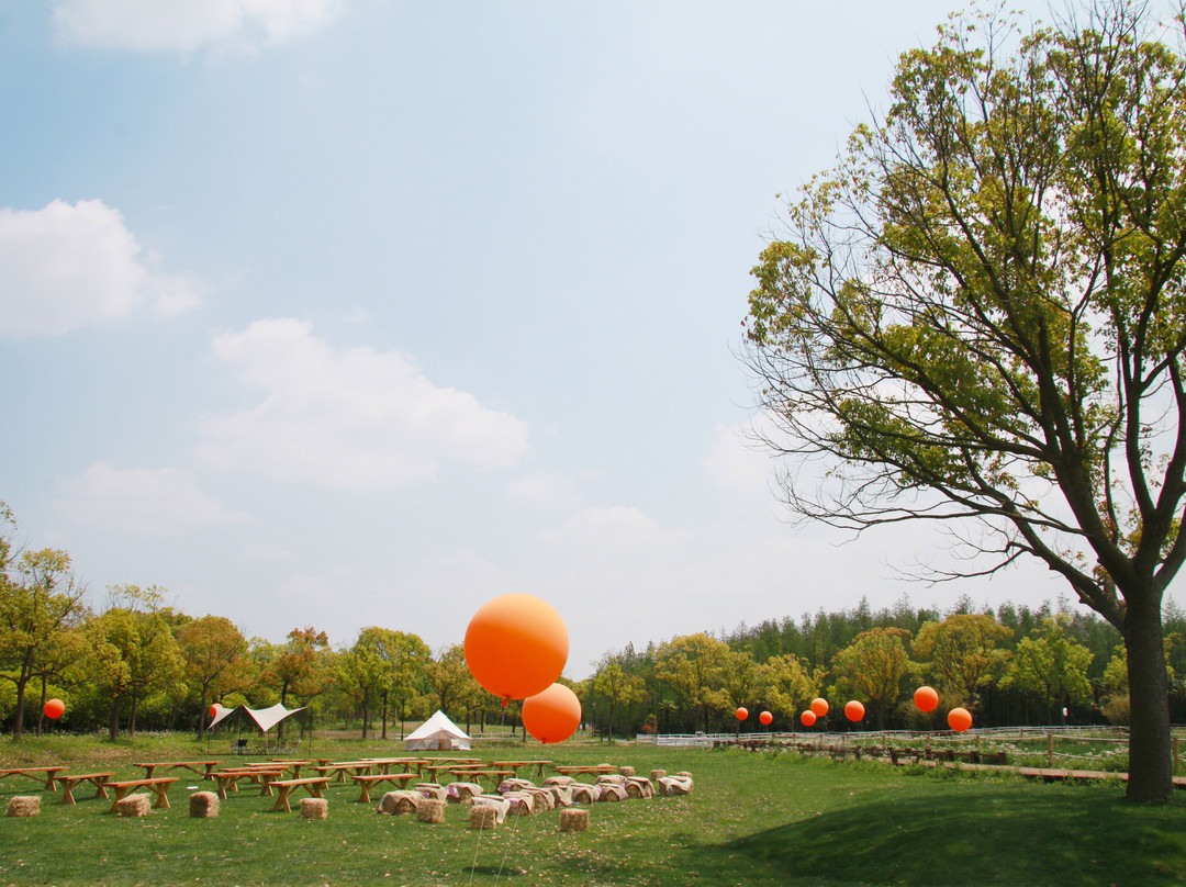 自然卷卷牧野-上海市必去景点